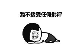 表情包 二十二,揭秘网络文化的魅力与影响